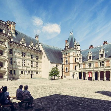 Gite De La Tour De Loire - 65 M2 Au Pied D'Une Tour De Gue Du 17Eme Siecle Mer Bagian luar foto
